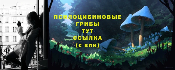 ALPHA-PVP Новодвинск