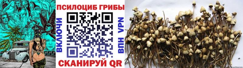 Псилоцибиновые грибы GOLDEN TEACHER  Купить закладки  Нижнекамск 